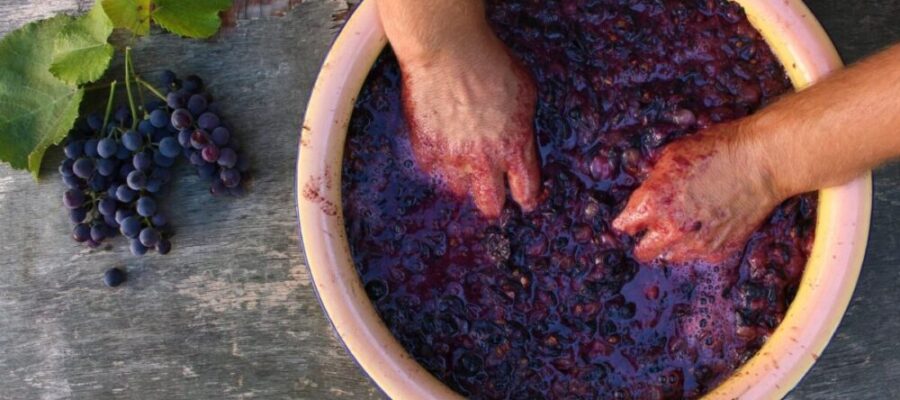 Turkey's Wine Renaissance: Embracing the Revival of Turkish Wines – Oceanup.com